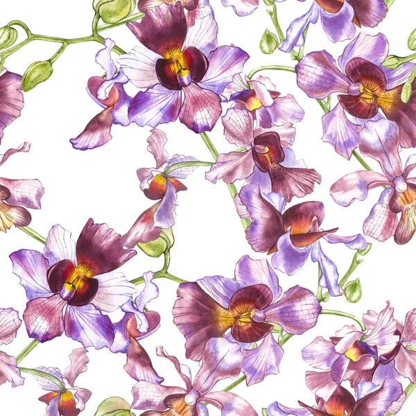 Akvarell Orchidea Kézzel Rajzolt Zökkenőmentes Virágmintás Háttér Flora Akvarell Illusztráció — Stock Fotó