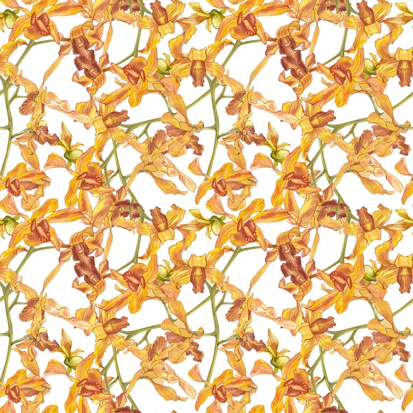 Гілка орхідей акварелі, намальований вручну квітковий безшовний візерунок фону. Флора акварельна ілюстрація, ботанічний живопис, малюнок рук . — стокове фото