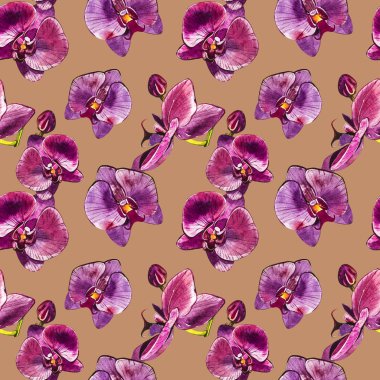 Suluboya dal orkide, elle çizilmiş çiçek Dikişsiz desen arka plan. Flora suluboya resim, botanik boyama, el çizimi.