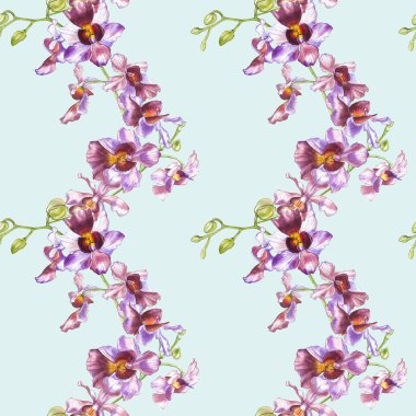 Suluboya dal orkide, elle çizilmiş çiçek Dikişsiz desen arka plan. Flora suluboya resim, botanik boyama, el çizimi.