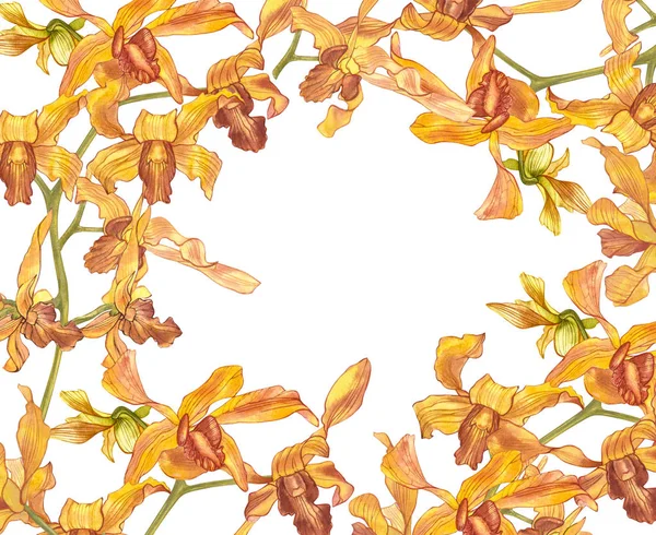 Akvarelu Orchidej Větev Ručně Kreslenou Květinové Ilustrace Izolované Bílém Pozadí — Stock fotografie