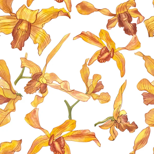 Rama de orquídea de acuarela, fondo de patrón sin costura floral dibujado a mano. Flora acuarela ilustración, pintura botánica, dibujo a mano . — Foto de Stock