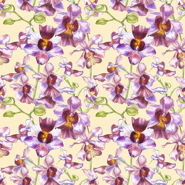 Suluboya dal orkide, elle çizilmiş çiçek Dikişsiz desen arka plan. Flora suluboya resim, botanik boyama, el çizimi.