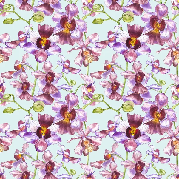 Ramo de orquídea aquarela, desenhado à mão floral sem costura fundo padrão. Flora aquarela ilustração, pintura botânica, desenho à mão . — Fotografia de Stock