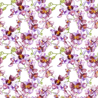 Suluboya dal orkide, elle çizilmiş çiçek Dikişsiz desen arka plan. Flora suluboya resim, botanik boyama, el çizimi.
