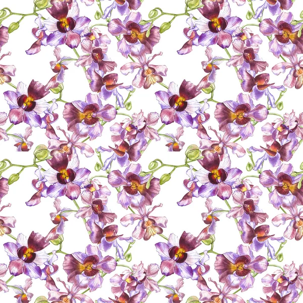 Ramo de orquídea aquarela, desenhado à mão floral sem costura fundo padrão. Flora aquarela ilustração, pintura botânica, desenho à mão . — Fotografia de Stock