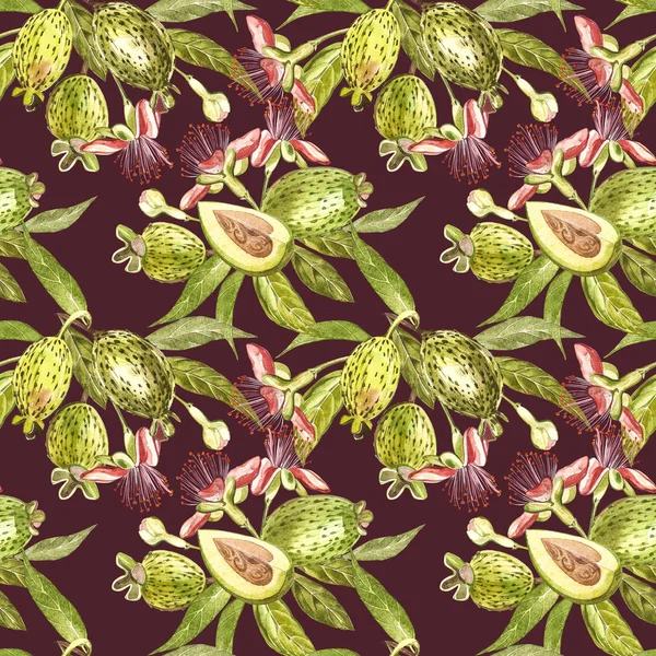 Ακουαρέλα εικονογράφηση Φειζοα-Γκουαγιαμπο φυτό. Χέρι Ζωγραφική με νερομπογιές σε άσπρο φόντο. Ακουαρέλα χωρίς ραφή πρότυπο υπόβαθρο με φρούτα Φειζοα-Γκουαγιαμπο. — Φωτογραφία Αρχείου