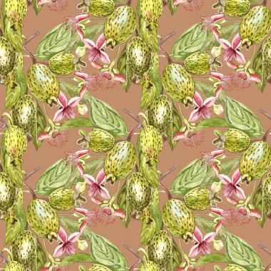 Sulu boya resimde feijoa bitki. El Beyaz zemin üzerine suluboya resim çekilmiş. Feijoa meyve sulu boya Dikişsiz desen arka plan.