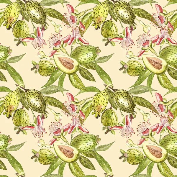 Sulu boya resimde feijoa bitki. El Beyaz zemin üzerine suluboya resim çekilmiş. Feijoa meyve sulu boya Dikişsiz desen arka plan.