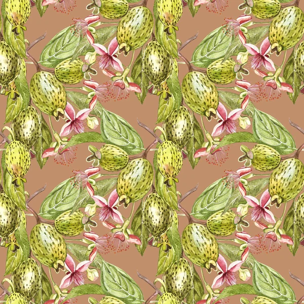 Sulu boya resimde feijoa bitki. El Beyaz zemin üzerine suluboya resim çekilmiş. Feijoa meyve sulu boya Dikişsiz desen arka plan.