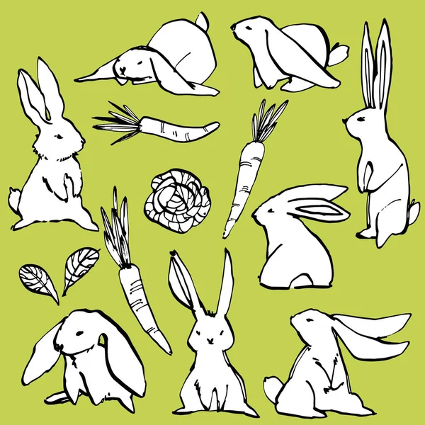 Collection of some cute rabbits, hand draw illustration. Draw vector illustration set character design of cute rabbit. — Stock Vector