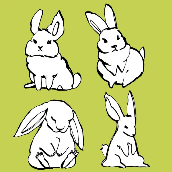 Collection of some cute rabbits, hand draw illustration. Draw vector illustration set character design of cute rabbit. — Stock Vector