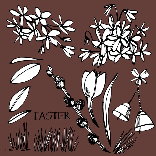 Samling av påsk blommor, hand Rita illustration. Rita vektor illustration set. — Stock vektor