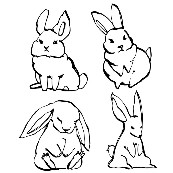 Colección de algunos conejos lindos, ilustración de dibujo a mano. Dibujar vector ilustración conjunto carácter diseño de lindo conejo . — Archivo Imágenes Vectoriales