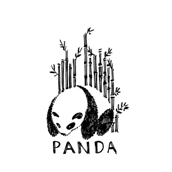 Hand getekende panda met bamboe. Vectorillustratie geïsoleerd op wit. Panda Logo Design inspiratie. — Stockvector