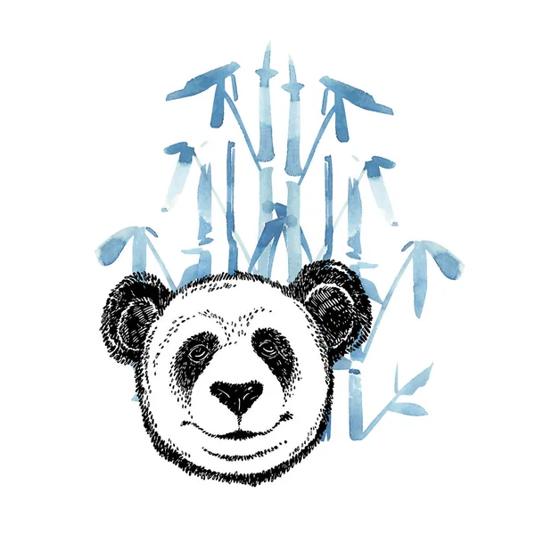 Ручной портрет панды. Векторная иллюстрация изолирована на белом . — стоковый вектор