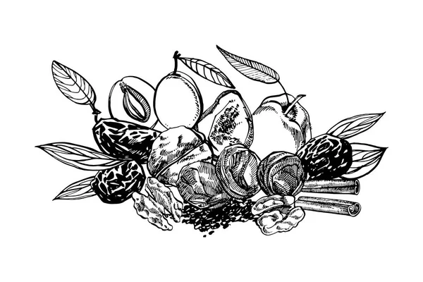 Pêssegos e ameixas secas, ilustração desenhada à mão vetorial de ameixas. Esboço de tinta de nozes. Ilustração vetorial desenhada à mão. Isolado sobre fundo branco . — Vetor de Stock
