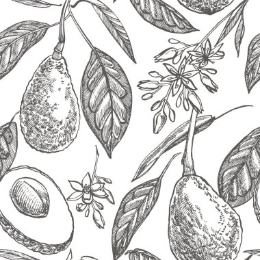 Line Art and Color Bundle Avocado SVG Clip Art and Seamless Pattern