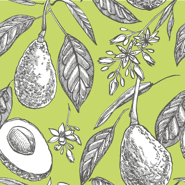 Avocado seamless pattern. Vector hand drawn illustrations. Avocado, sliced pieces, half, leaf and seed sketch. Tropical summer fruit engraved style illustration. — Stock Vector