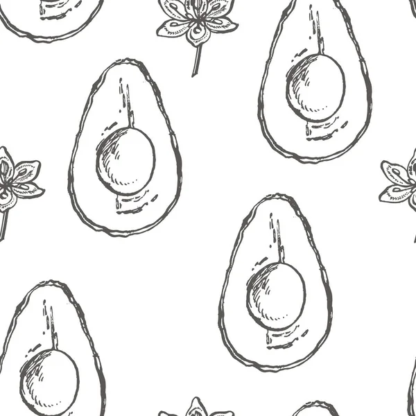 Αβοκάντο χωρίς ραφή πρότυπο. Διάνυσμα χέρι συρμένων απεικονίσεων. Αβοκάντο, φέτες κομμάτια, μισό, φύλλα και σπόρους σκίτσο. Καλοκαιρινά τροπικά φρούτα χαραγμένο στυλ εικονογράφηση. — Διανυσματικό Αρχείο