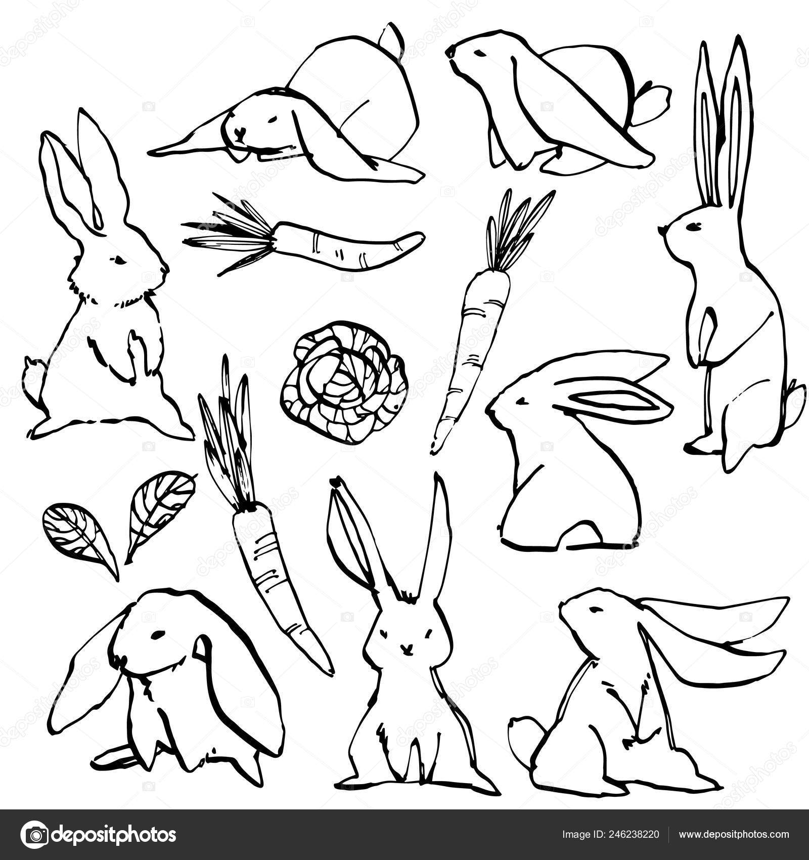 いくつかのかわいいウサギのコレクションは 手の図を描画します かわいいウサギのイラスト キャラクター デザインを描く ストック写真 C Asetrova いくつかのかわいいウサギのコレクションは 手の図を描画します かわいいウサギのイラスト キャラクター デザインを描く ストック写真 C Asetrova