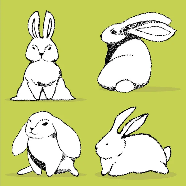 Коллекция некоторых симпатичных кроликов, ручная работа иллюстрации. Нарисуйте рисунок набора характер дизайн милый кролик . — стоковое фото