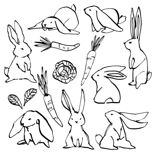 Collection of some cute rabbits, hand draw illustration. Draw illustration set character design of cute rabbit. — Stock Photo, Image