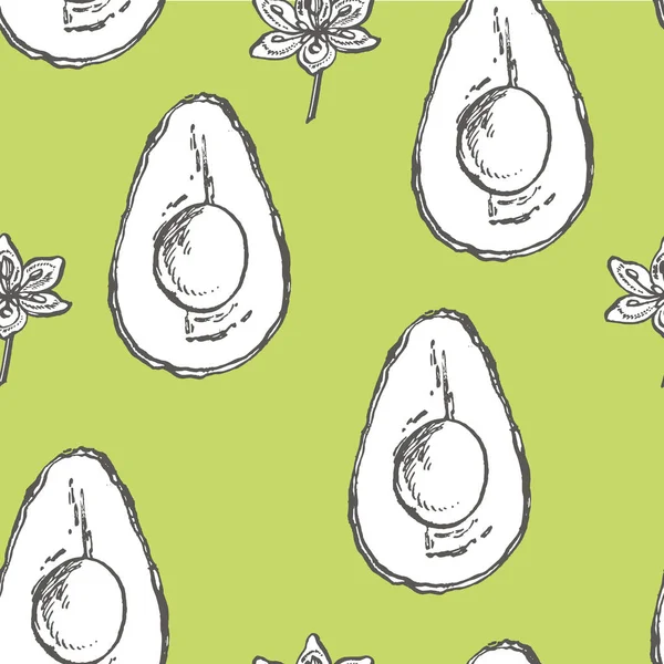 Awokado wzór. Ręcznie rysowane ilustracje. Awokado, pokrojone kawałki, pół, liści i nasion szkicu. Owoców tropikalnych lato grawerowane styl ilustracji. — Zdjęcie stockowe