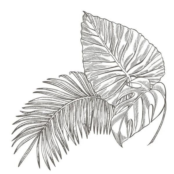 Folhas de palma tropicais. Ilustração gráfica. Folhas e flores da selva gravadas plumeria . — Fotografia de Stock