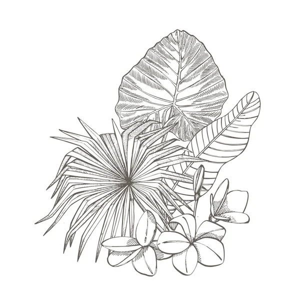 Tropische palm bladeren. Grafische afbeelding. Gegraveerde jungle bladeren en bloemen van de plumeria. — Stockfoto