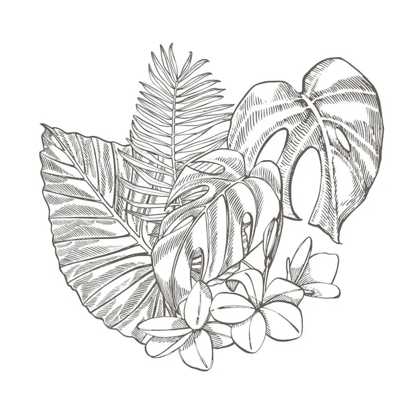 Tropical palm leaves. Graphic illustration. Engraved jungle leaves and flowers plumeria.