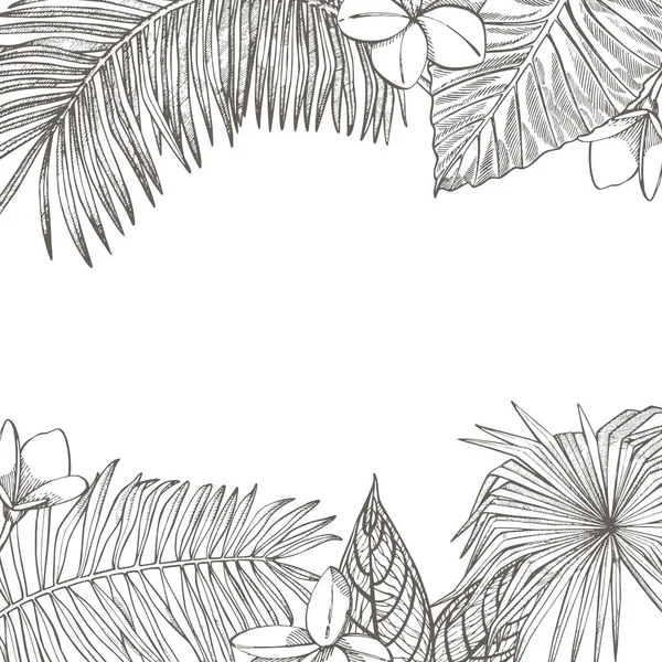 Feuilles tropicales estivales design. Illustration de fond floral. Invitation ou dessin de carte avec feuilles de jungle. — Photo