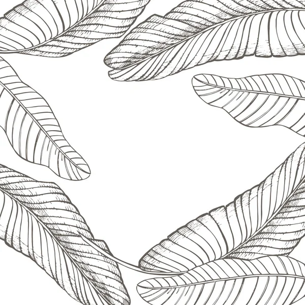 夏の熱帯の葉のデザイン。花の背景イラスト。ジャングルの葉を持つ招待状またはカードデザイン. — ストック写真