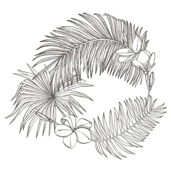 Hojas de palma tropical. Plantilla de diseño Ilustración gráfica . — Foto de Stock