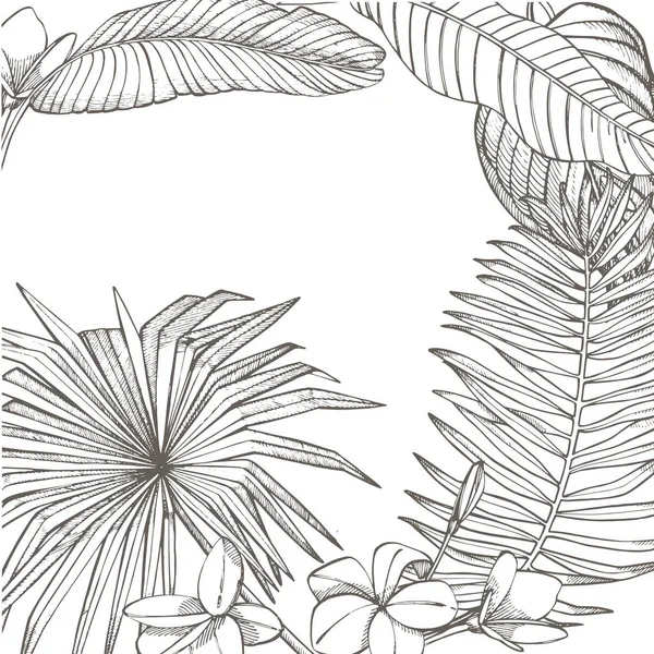 Feuilles tropicales estivales design. Illustration de fond floral. Invitation ou dessin de carte avec feuilles de jungle. — Photo