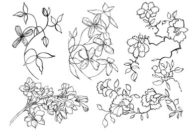 Yaratıcı çiçek grafik illüstrasyon. Dokular siyah mürekkeple yapılmış. El fırça boyama tasarımlarınız için: logo, afiş, davetiye, kartlar. Grafik illüstrasyon.