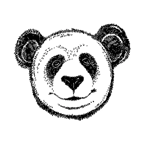 Ręcznie rysowane Panda. Ilustracja graficzna na białym tle. Inspiracje do projektowania logo Panda. — Zdjęcie stockowe