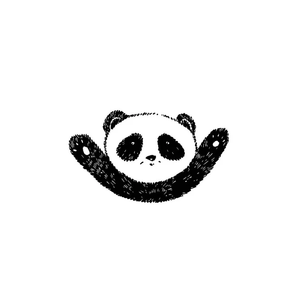 손으로 그린 팬더. 흰색 절연 그래픽 그림. 팬더 로고 디자인 영감. — 스톡 사진