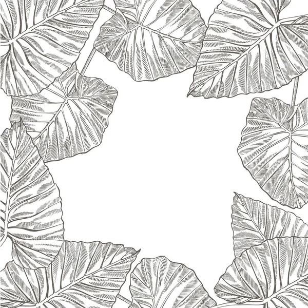 Feuilles tropicales estivales design. Illustration de fond floral. Invitation ou dessin de carte avec feuilles de jungle. — Photo