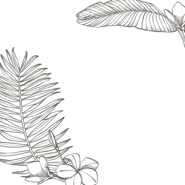 Summer tropical leaves design. Floral background illustration. Invitation or card design with jungle leaves.
