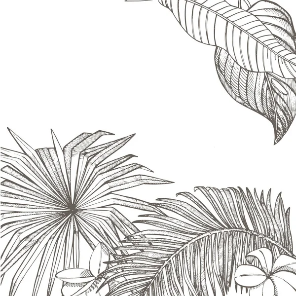 Summer tropical leaves design. Floral background illustration. Invitation or card design with jungle leaves. — Stock Photo, Image