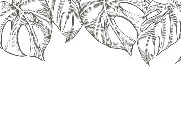 Diseño de hojas tropicales de verano. Ilustración de fondo floral. Invitación o diseño de tarjeta con hojas de la selva. — Foto de Stock
