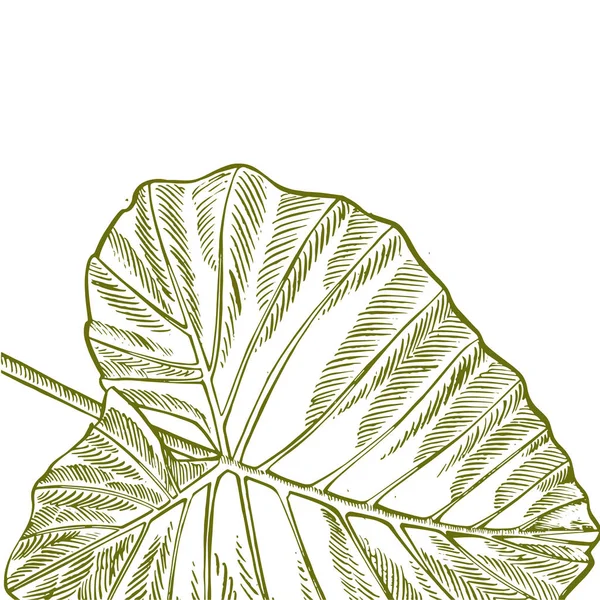 Nyári trópusi levelek design. Virágos háttér illusztráció. Meghívó vagy kártya tervezése dzsungellevelekkel. — Stock Fotó