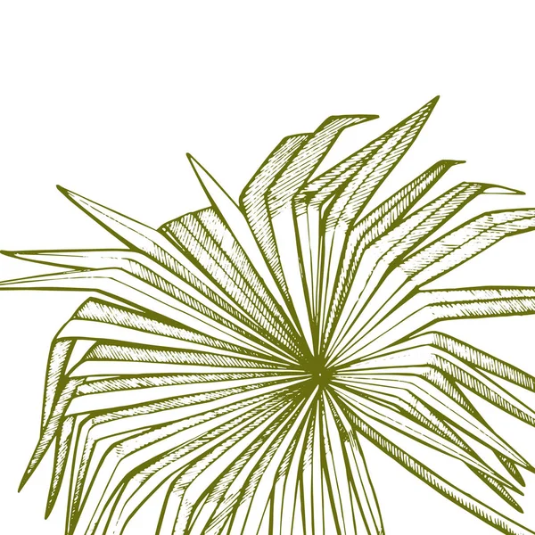 Летние тропические листья дизайн. Цветочный фон. Дизайн приглашения или карты с листьями джунглей. — стоковое фото