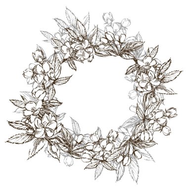 Elma illüstrasyon. Dokulu elma Illustration ile el çizilmiş desenler. Vintage botanik el çizilmiş illüstrasyon. Elma çiçeği dalları. Çiçek çelenk. Grafik yuvarlak kenarlık.