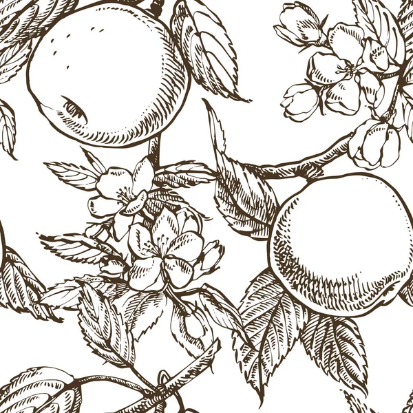 Ilustración Apple. Patrones dibujados a mano con ilustración de manzana texturizada. Ilustración botánica vintage dibujada a mano. Flores de primavera de manzano. Patrones sin costura . — Foto de Stock