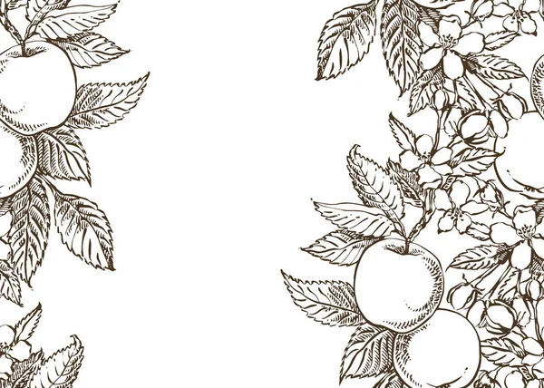 Apple illustration. Hand drawn patterns with textured apple illustration. Card spring. Black and white blooming branches of apple tree.