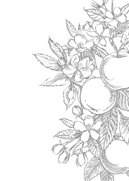 Ilustracji Apple. Ręcznie rysowane wzory z ilustracji jabłko teksturowane. Sprężyna karty. Czarno-białe kwitnące gałęzie jabłoni. — Zdjęcie stockowe