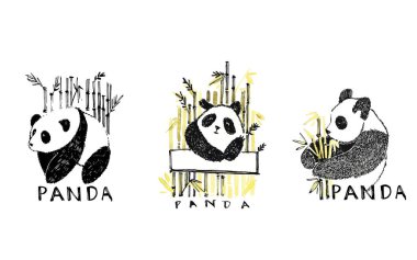 Bambu ile el çizilmiş Panda. Beyaz üzerinde izole grafik illüstrasyon. Panda Logo Tasarım Inspiration.