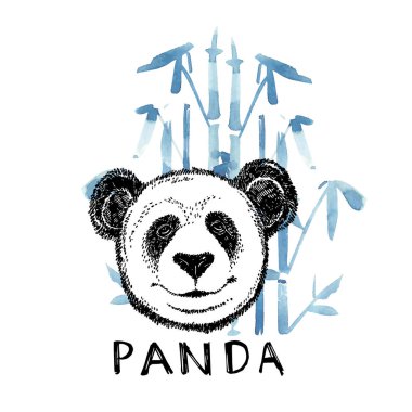 Bambu ile el çizilmiş Panda. Beyaz üzerinde izole grafik illüstrasyon. Panda Logo Tasarım Inspiration.